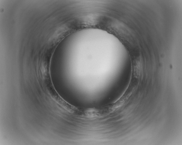 X0000070430608200606121412