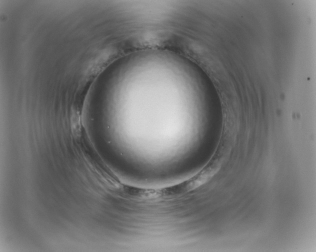 X0000070430624200606121412