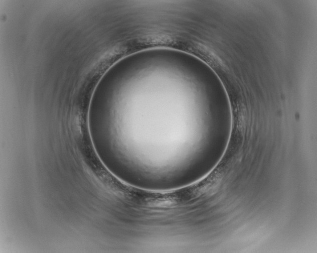 X0000070430643200606121412
