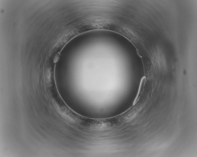 X0000070430646200606121412
