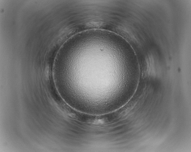 X0000070430647200606121412