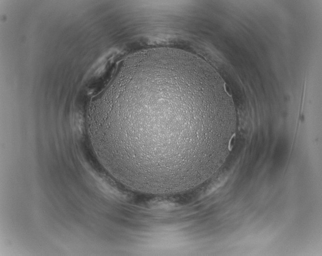 X0000070430648200606121412