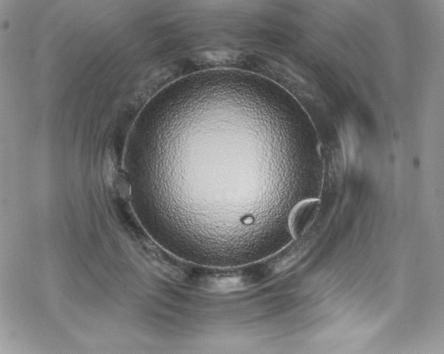 X0000070430651200606121412