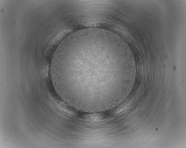 X0000070430652200606121412