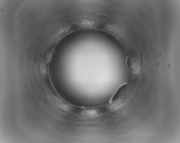 X0000070430665200606121412