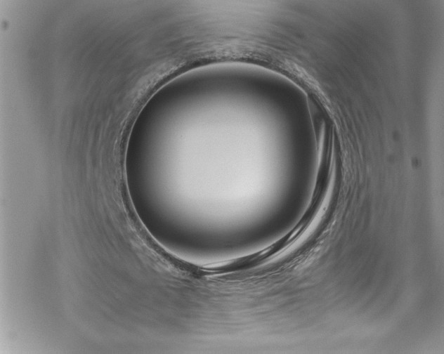 X0000070430673200606121411