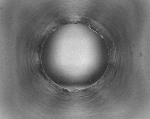 X0000070430704200606121411
