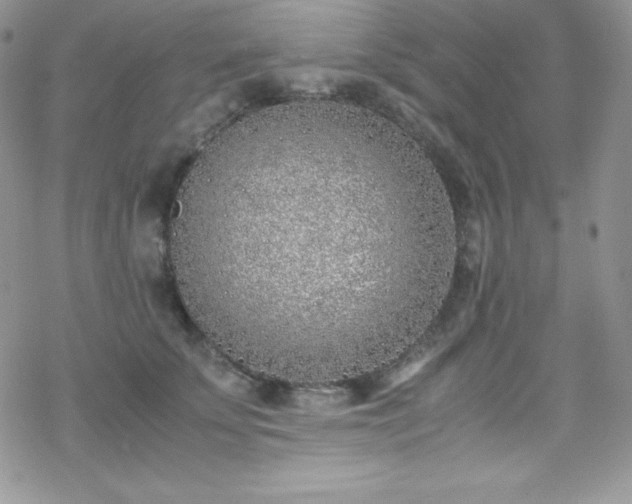 X0000070430707200606121411