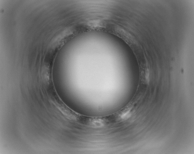 X0000070430710200606121411