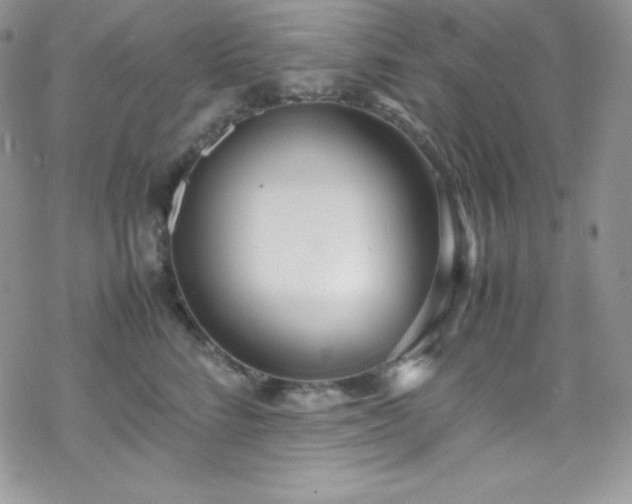 X0000070430712200606121411
