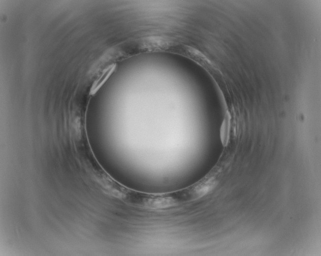 X0000070430716200606121411
