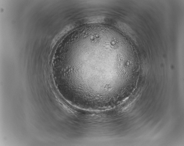 X0000070430721200606121410