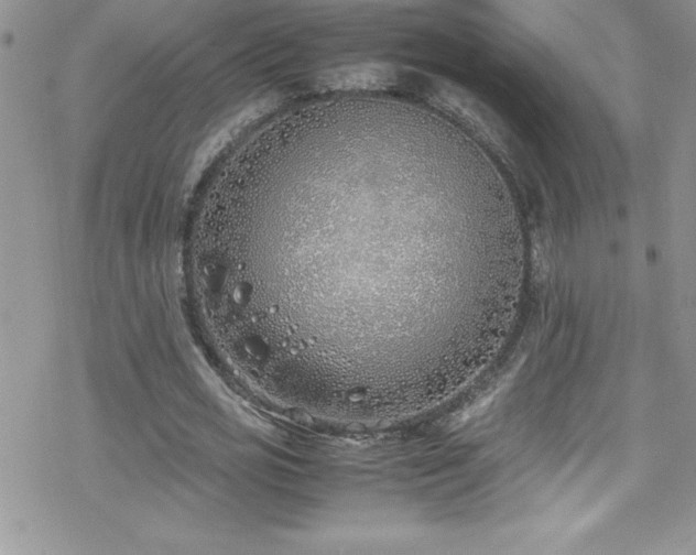 X0000070430725200606121410