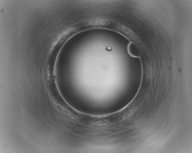 X0000070430731200606121410