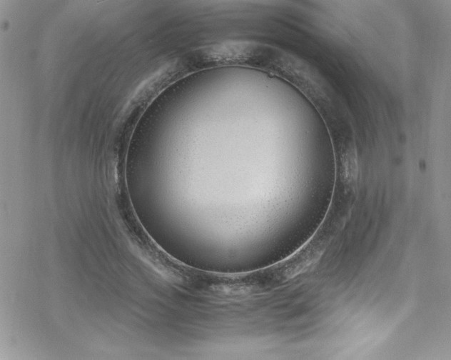 X0000070430733200606121410