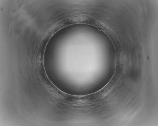 X0000070430737200606121410