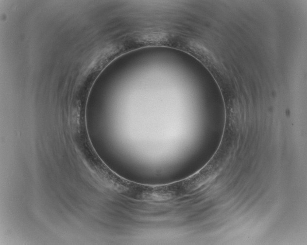 X0000070430739200606121410