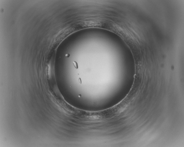 X0000070430741200606121410