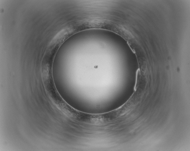 X0000070430744200606121410