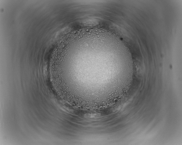 X0000070430745200606121410