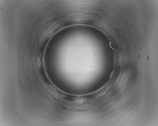 X0000070430746200606121410