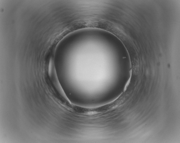 X0000070430748200606121410