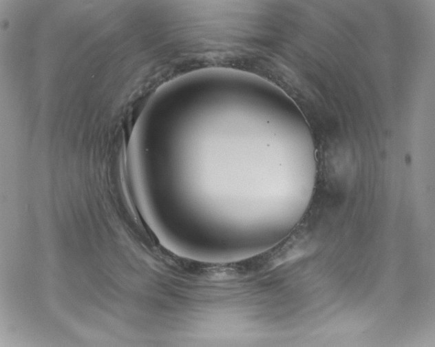 X0000070430750200606121410