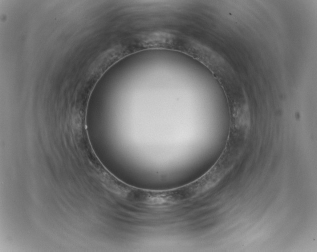 X0000070430753200606121410