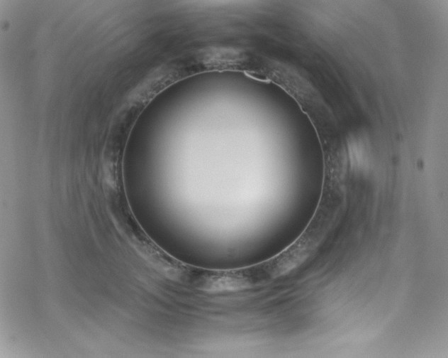 X0000070430755200606121410