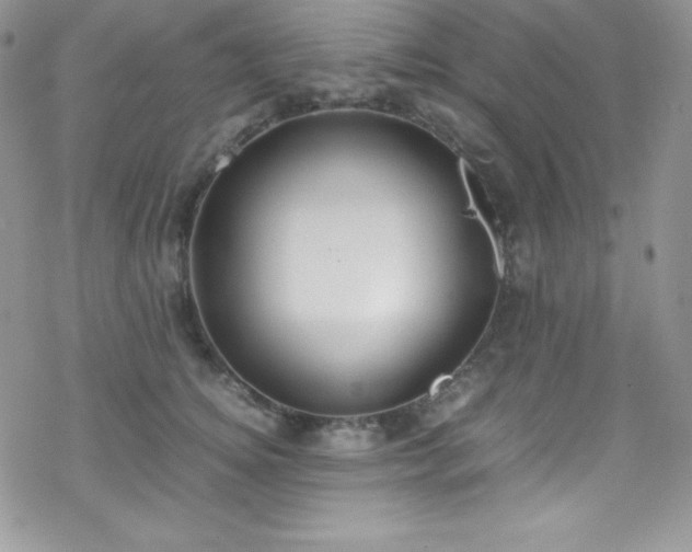 X0000070430756200606121410