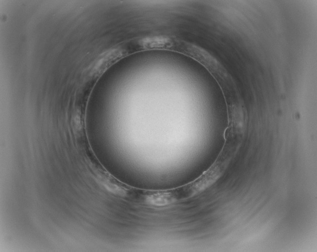 X0000070430761200606121410