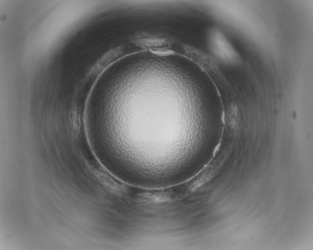 X0000070430763200606121411
