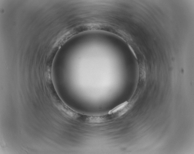 X0000070430766200606121411