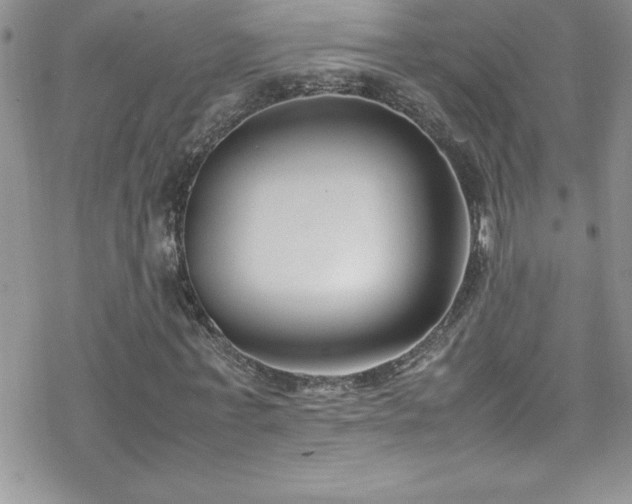 X0000070430771200606121410