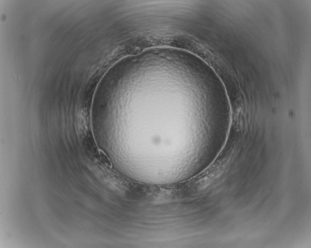X0000070430772200606121410
