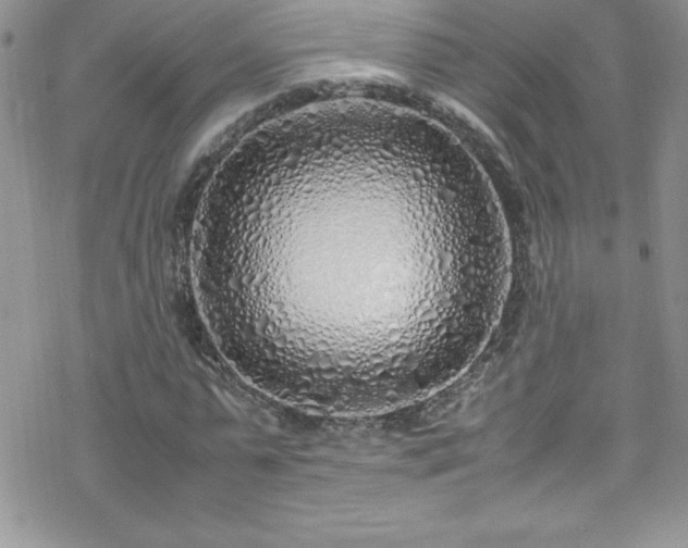 X0000070430775200606121410