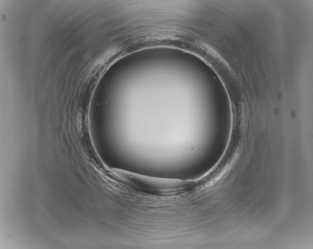 X0000070430777200606121410