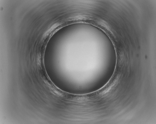 X0000070430778200606121410