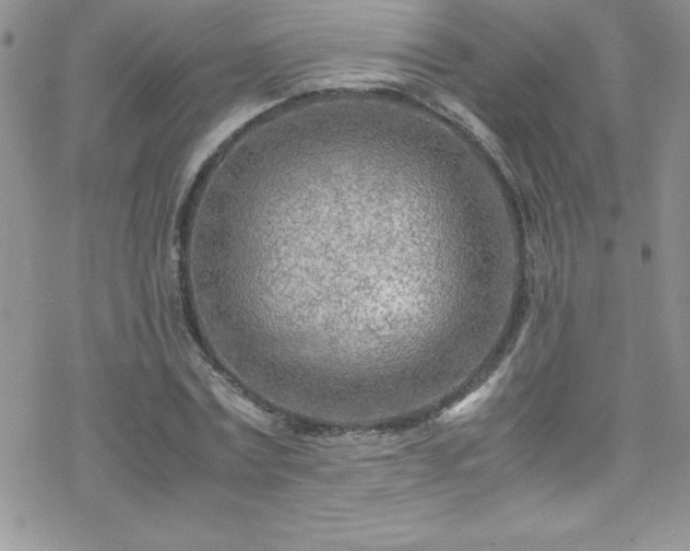 X0000070430779200606121410