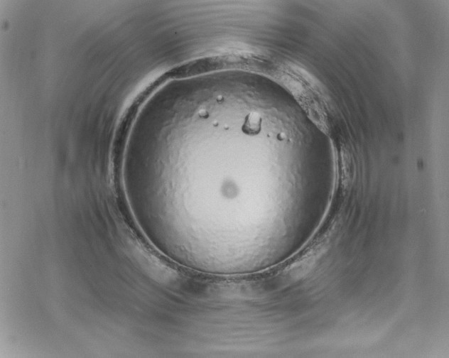 X0000070430780200606121410