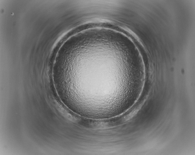 X0000070430783200606121410