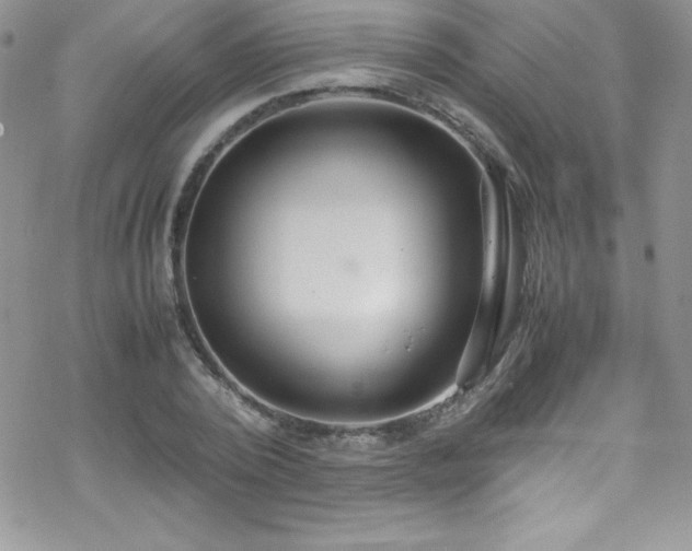 X0000070430784200606121410