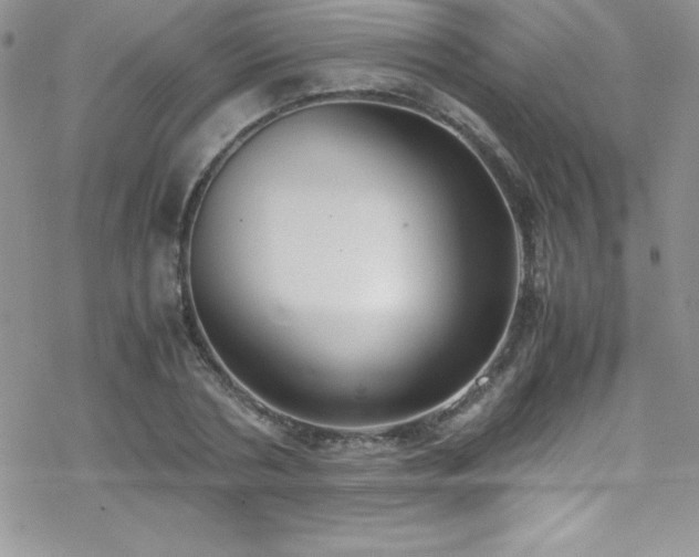 X0000070430786200606121410