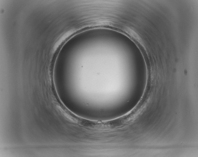 X0000070430789200606121410