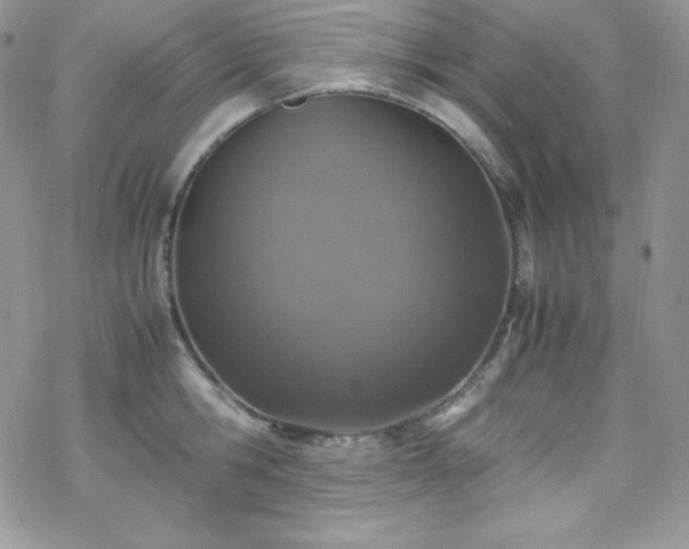 X0000070430806200606121409