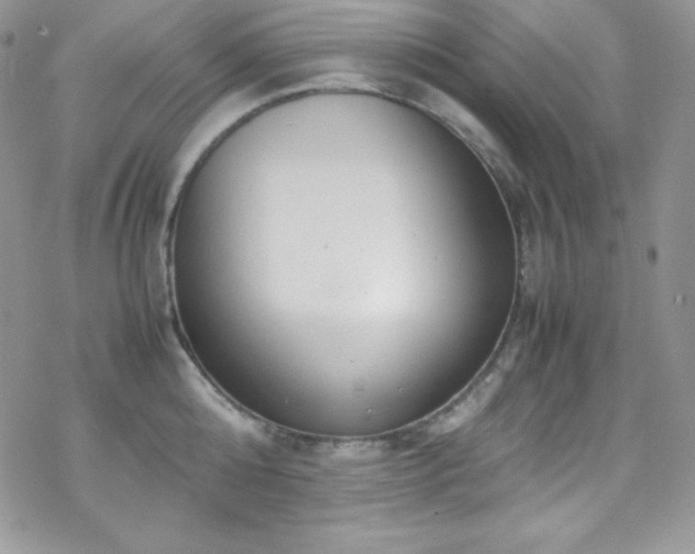 X0000070430808200606121409