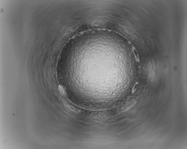 X0000070430817200606121408