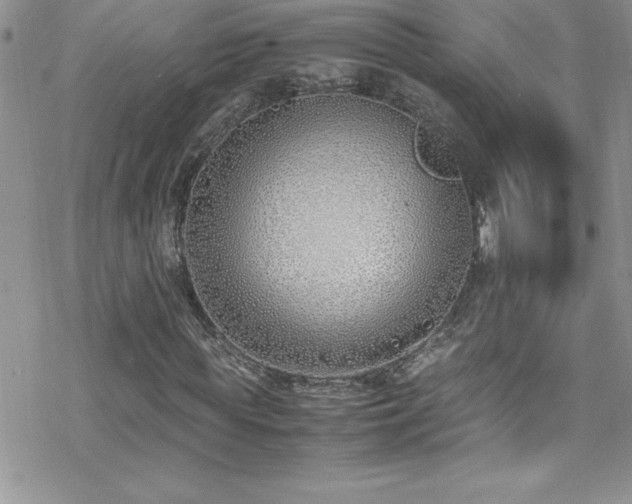 X0000070430819200606121408