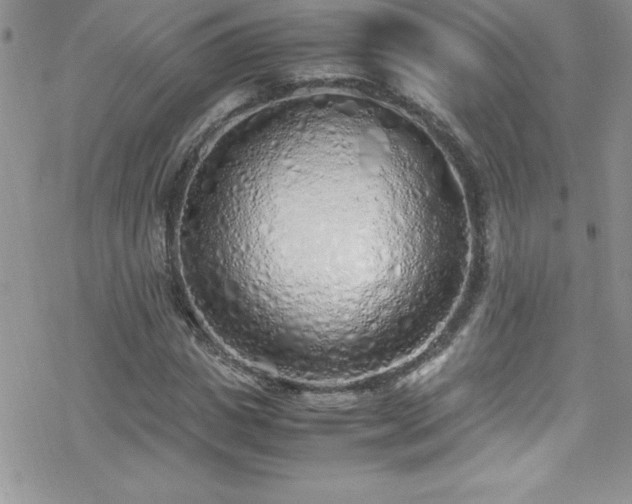 X0000070430825200606121408