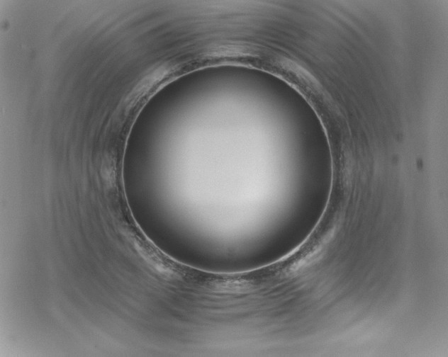 X0000070430833200606121409